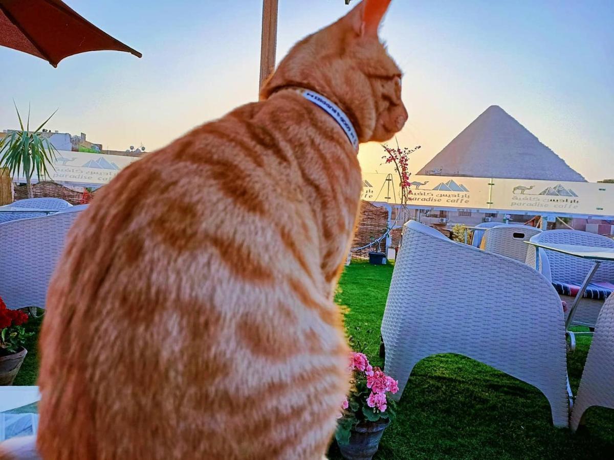 Carpet Alaadein Pyramids View Hotel Kafrat al Jabal Exterior photo